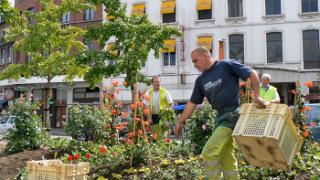 namur200507029
