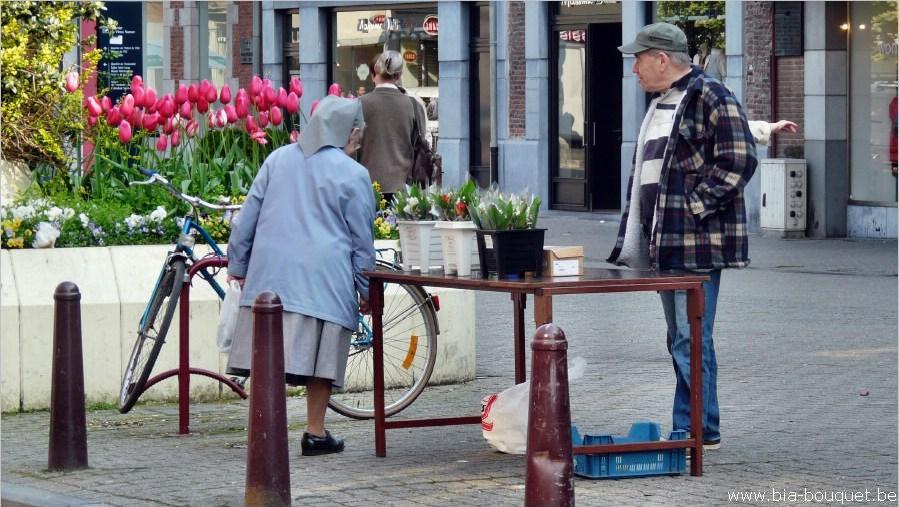 namur030509095