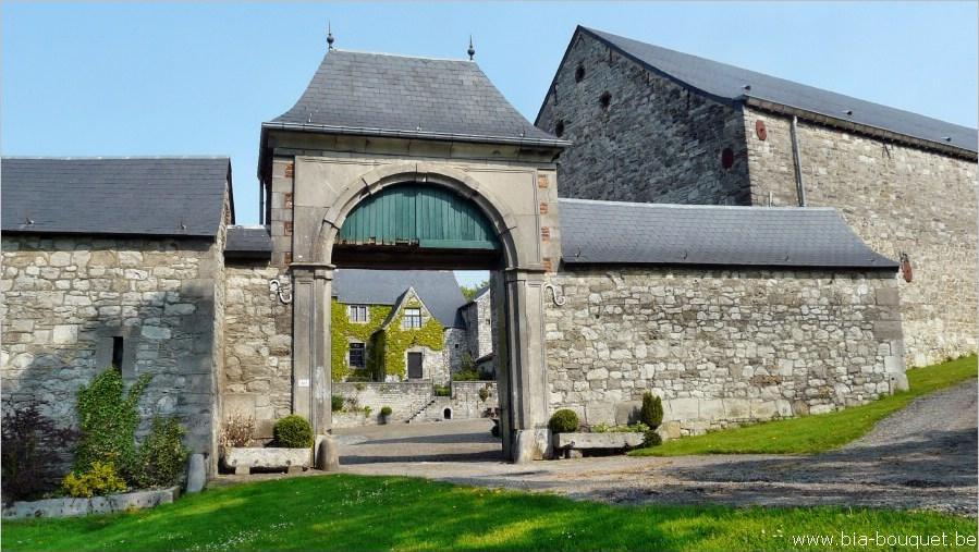 namur030509105