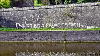namur100509088