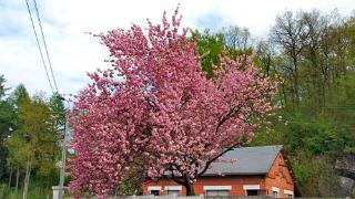 namur020510144