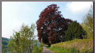 namur160510163