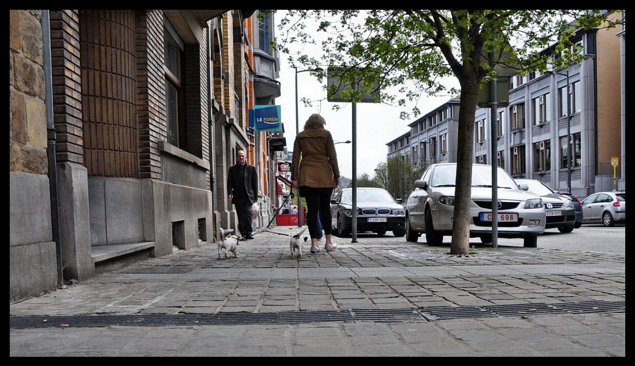 namur0505130004