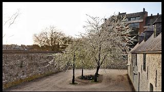 namur0505130002
