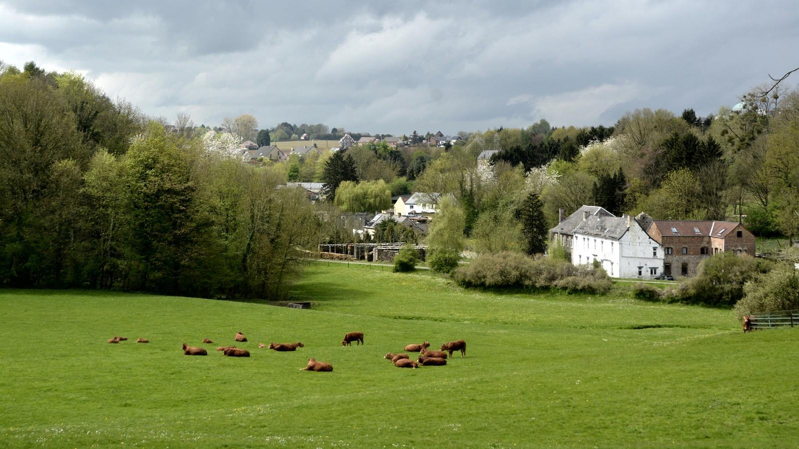 namur030515 145