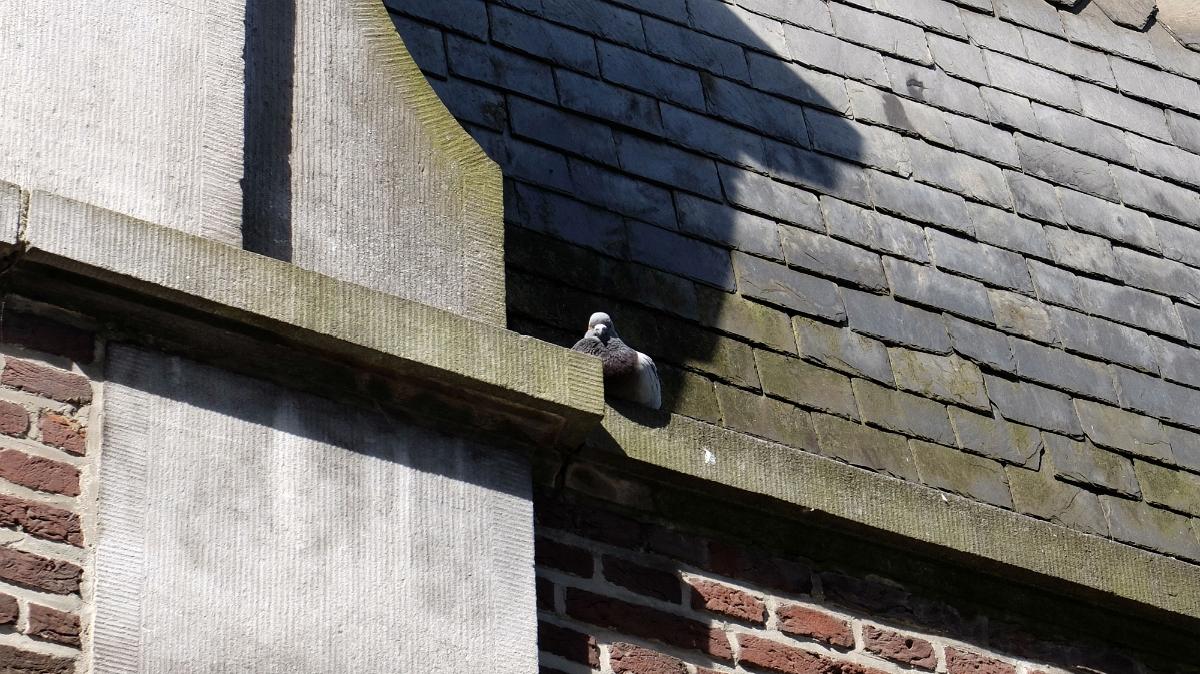 namur080516071