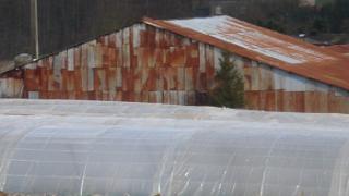 mars2007062