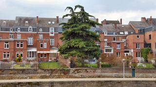 namur070310044