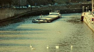 namur140310044