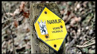 namur060311014