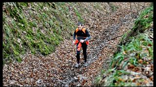 namur060311017