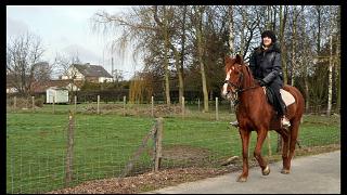 namur1803120055
