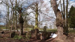 namur2403130200