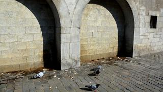 namur3003140134