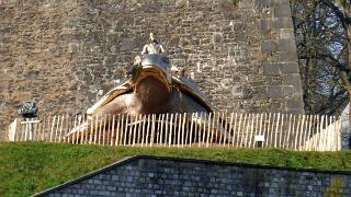 namur220315078