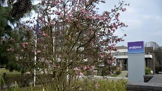 namur290315-035