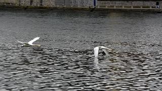 namur290315-121