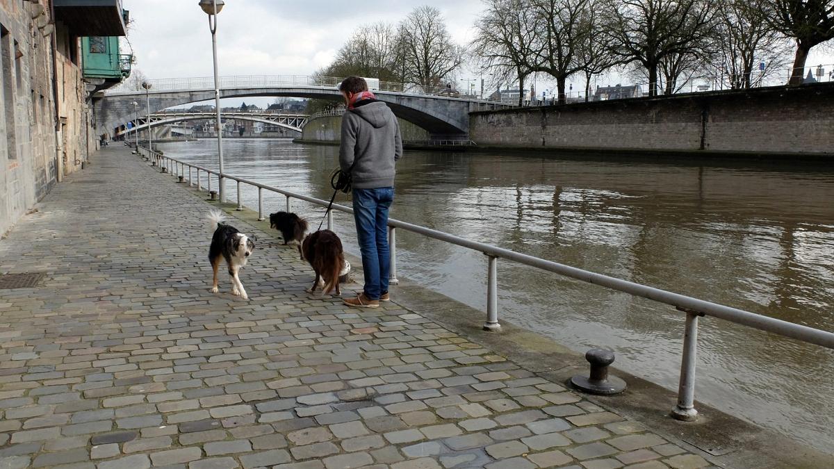 namur130316021