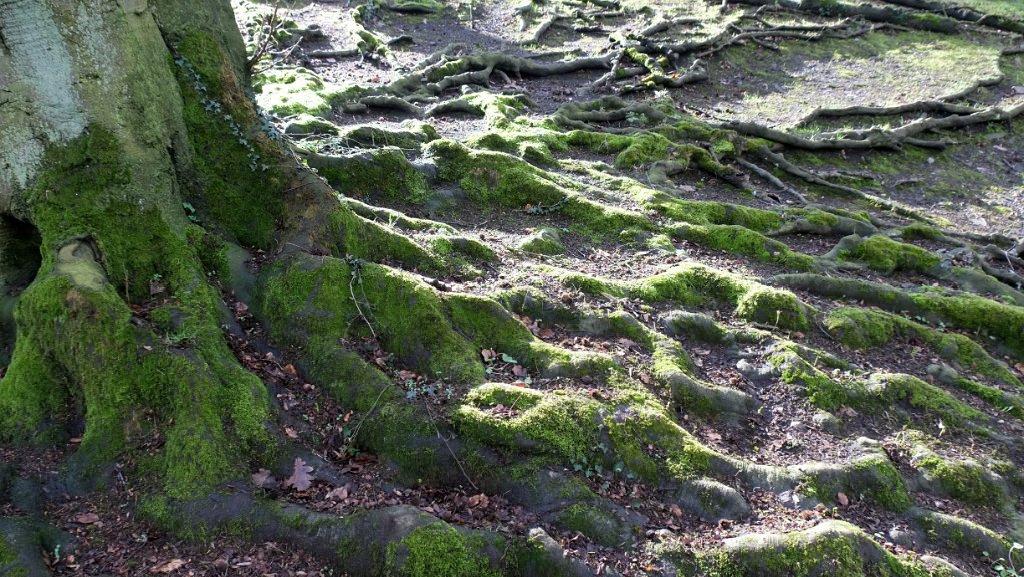 namur120317010