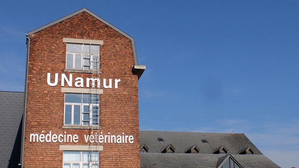namur260317042