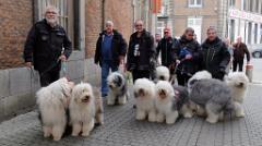 namur050317068
