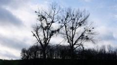 namur120317087