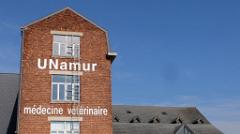 namur260317042