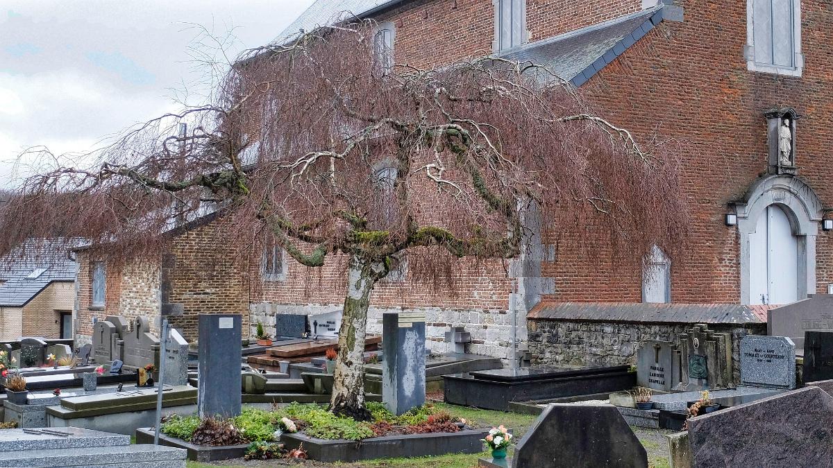 namur1803180064