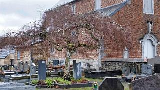 namur1803180064