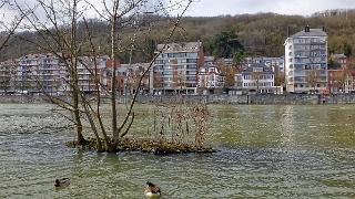 namur2503180040