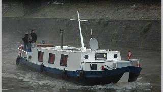 piprugiu037