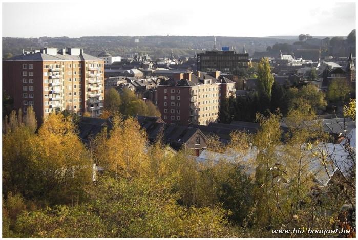 namur101106015