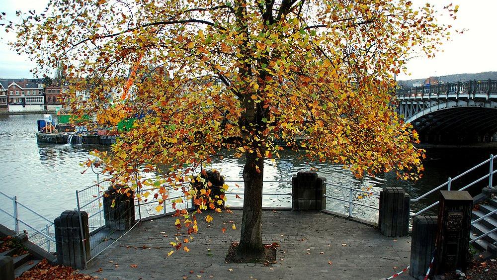 novembre2009040a