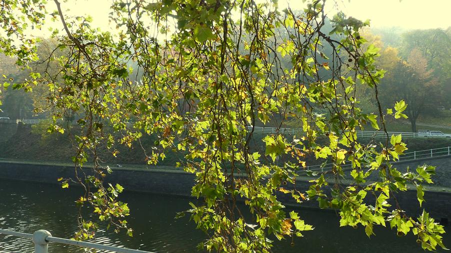 novembre2009217a