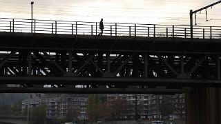 novembre2009037a