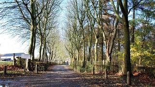 novembre2009051a