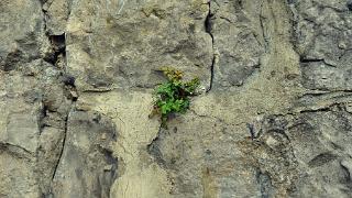novembre2009214a