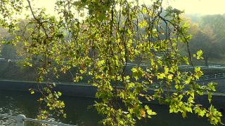 novembre2009217a