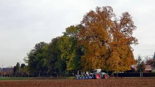 novembre2009224a
