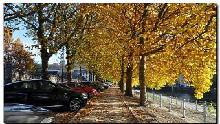 namur0611110018