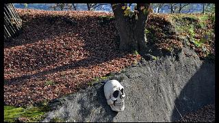 namur0411120039