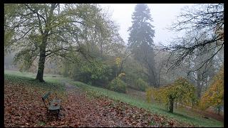 namur1111120106