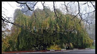 namur1111120107