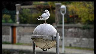 namur1111120160