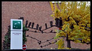 namur1811120051