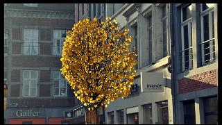 namur1811120078