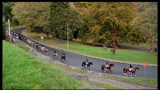 namur0311130012