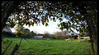 namur0311130079