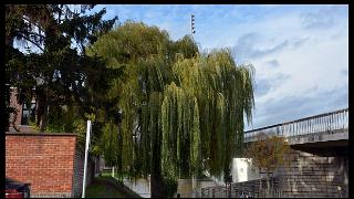 namur1011130040