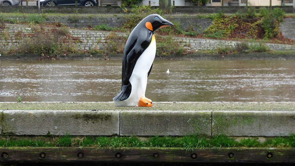 namur291115123